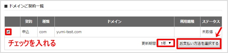 wpXクラウドでの新規独自ドメイン取得手順9