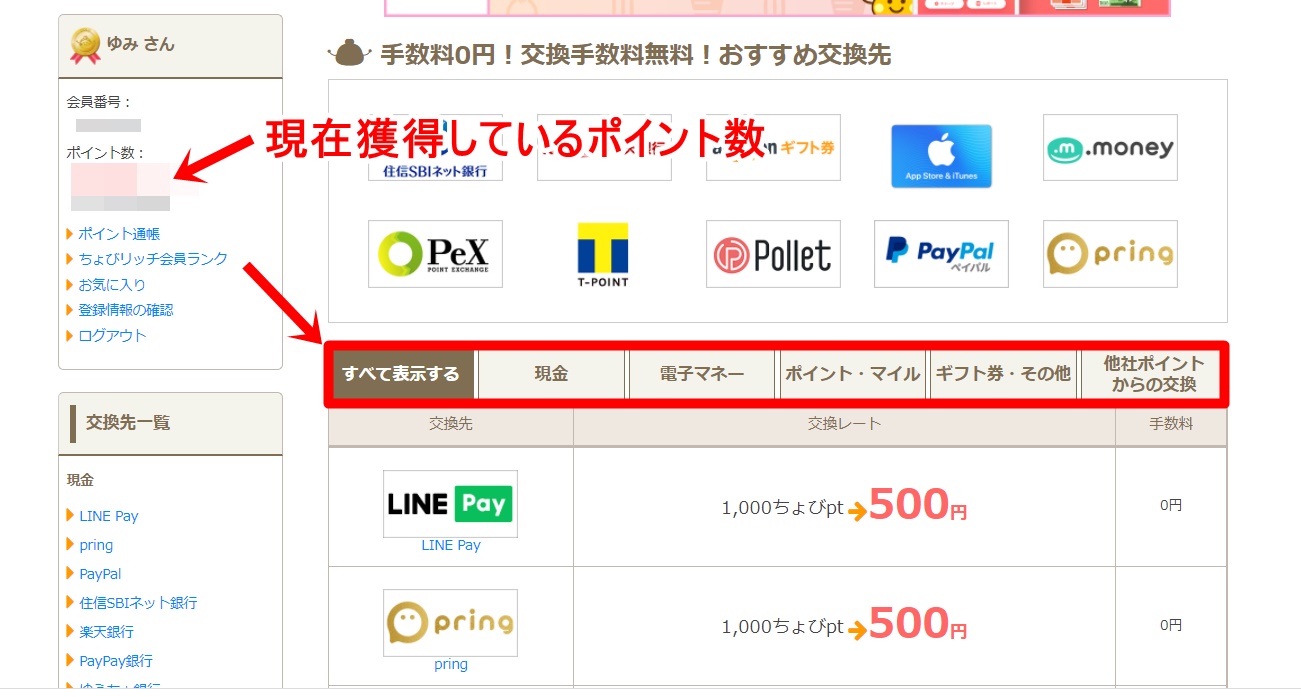 ちょびリッチの利用方法10