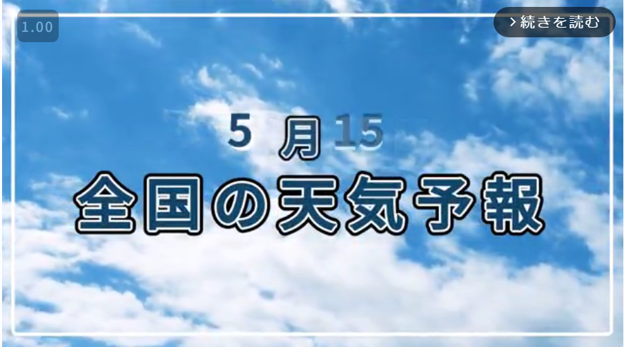 インストリーム広告