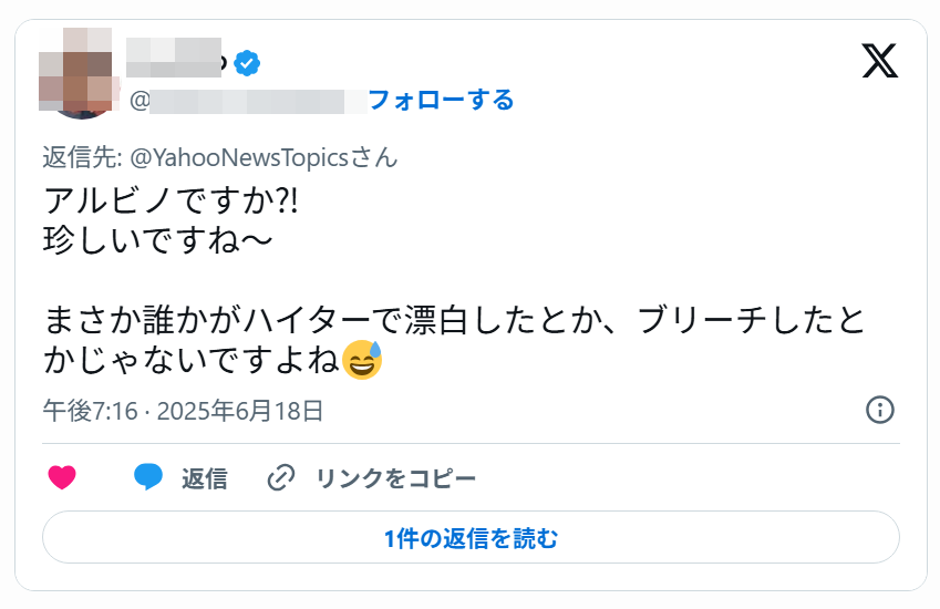 返信リプライのみを埋め込むイメージ