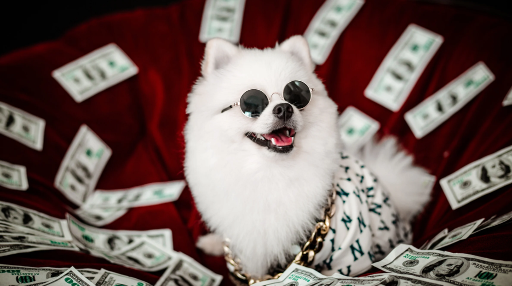 そうだ!投資収入でFIREを目指そう!