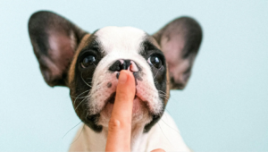 （こっそり…）2月にブログで狙うべきお宝ネタ3選